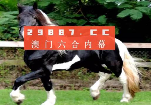 香港与澳门一肖一码一中一肖l,专家意见解释定义-最佳答案