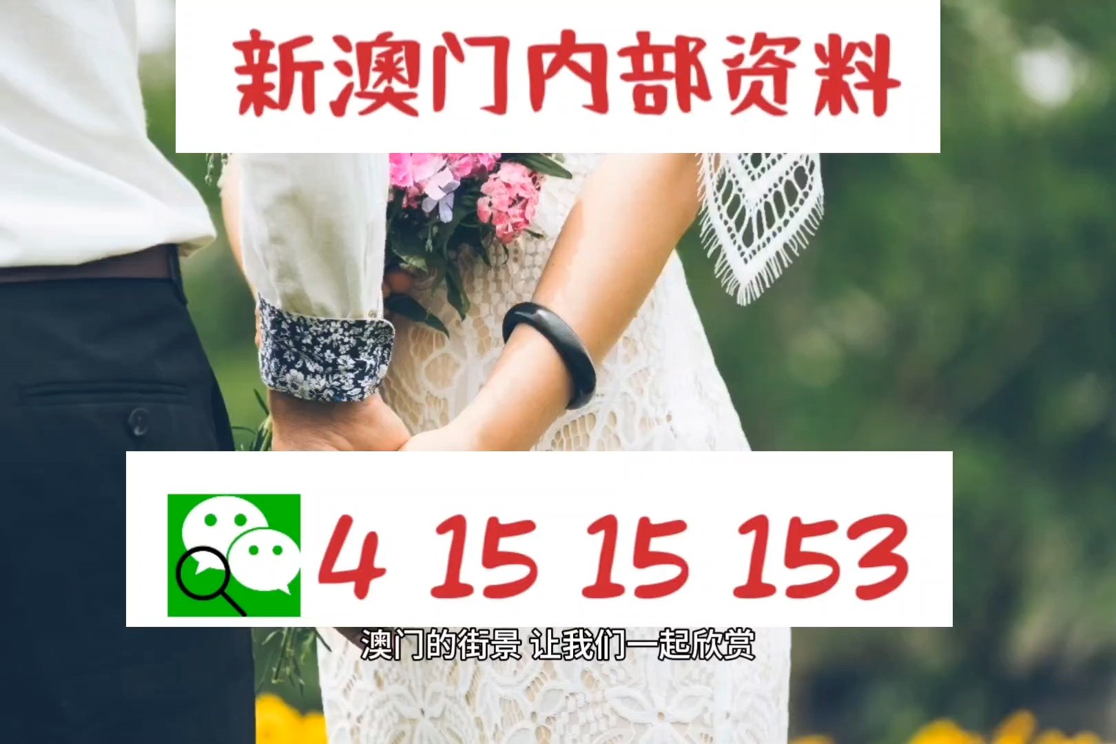 2025澳门特马今晚开码,专家意见解释定义-最佳答案